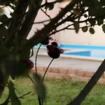 Дом отдыха Mostar