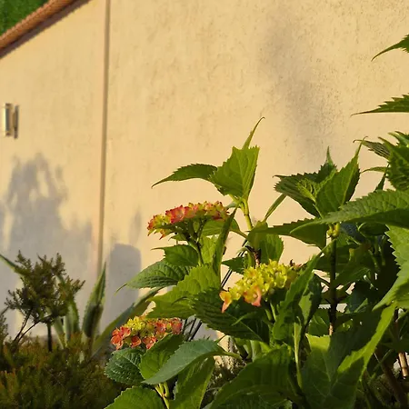 Holiday home Mostar Vrapcici (Herzegovina-Neretva)